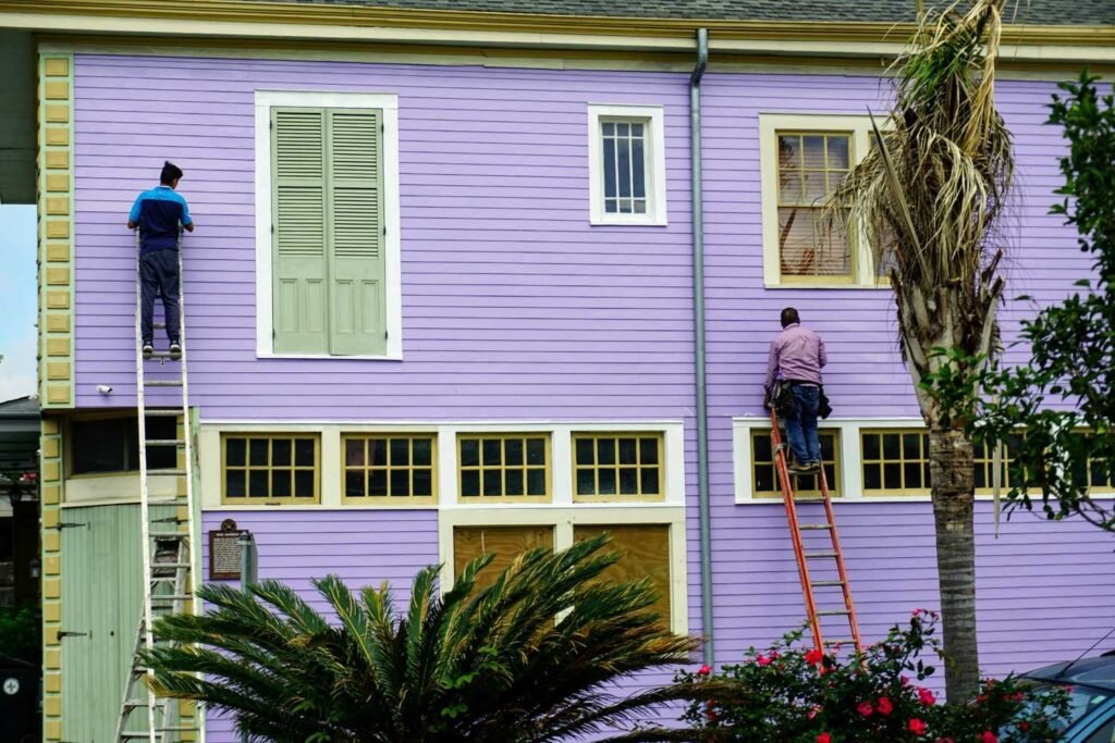 House Painters West Auckland