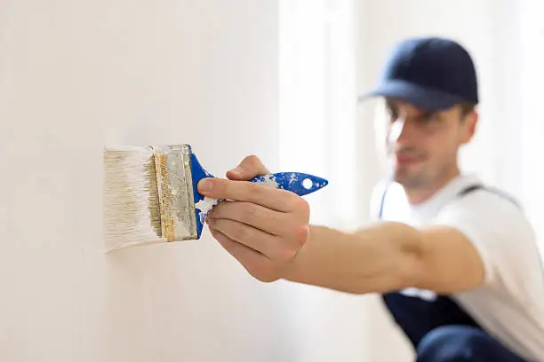 Interior Painters West Auckland